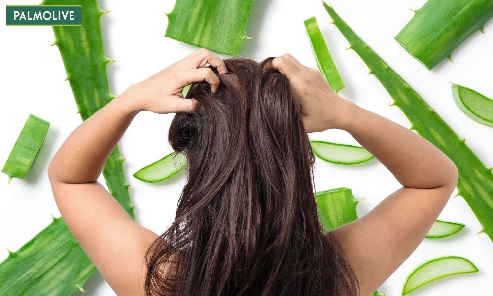 Ủ tóc bằng nha đam giúp cấp ẩm và làm dịu tóc cháy nắng hiệu quả