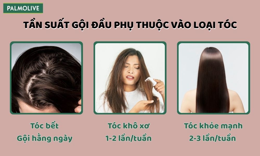 Tùy vào đặc tính từng loại tóc để lựa chọn tần suất gội đầu phù hợp
