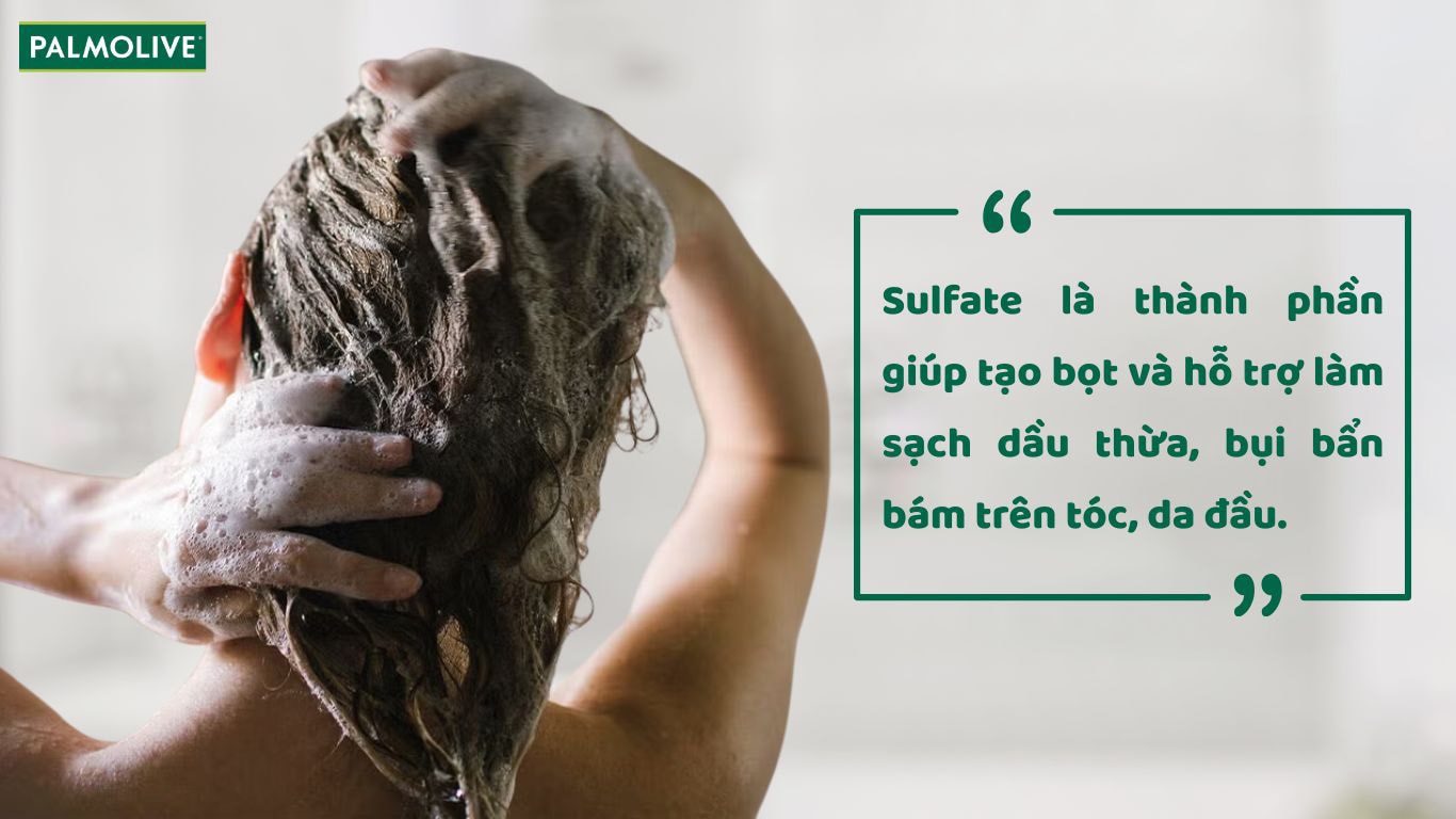 Tìm hiểu về Sulfate là gì