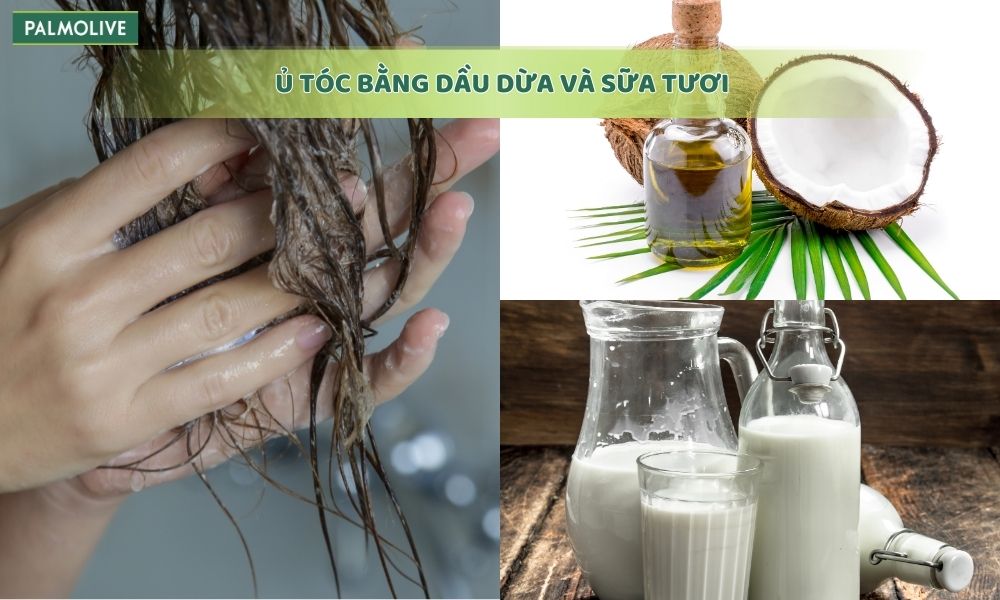 Ủ tóc bằng dầu dừa và sữa tươi giúp nuôi dưỡng tóc và đầu hiệu quả, giảm tình trạng bong vảy 