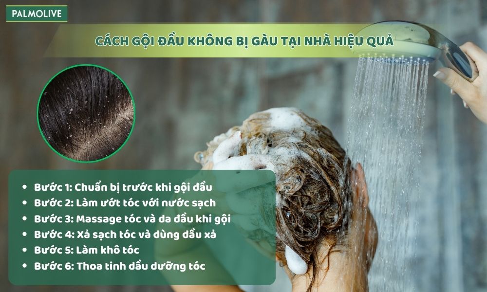  6 bước gội đầu hạn chế gàu hiệu quả, dễ áp dụng tại nhà