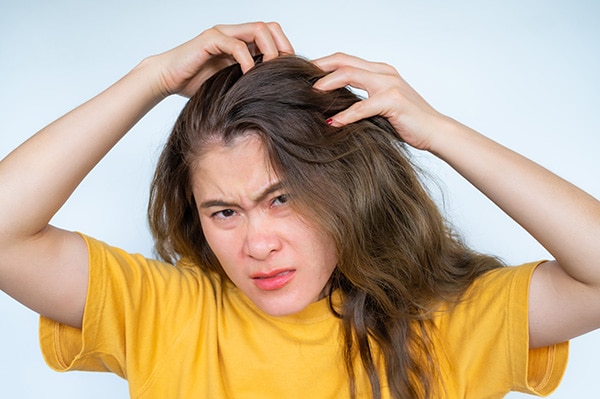 dầu gội trị gàu dầu gội trị gàu