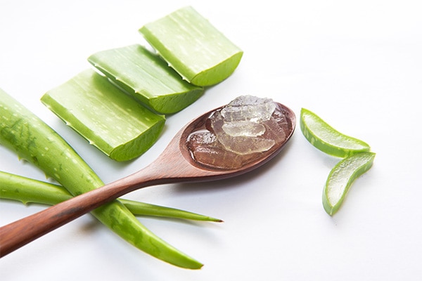 cách tắm trắng bằng lô hội cách tắm trắng bằng lô hội