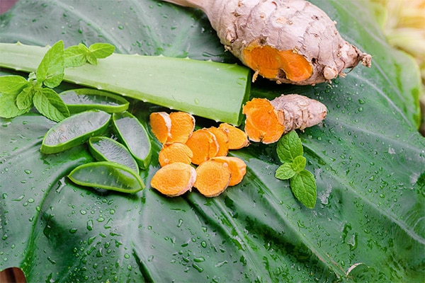 cách tắm trắng tại nhà bằng nha đam cách tắm trắng tại nhà bằng nha đam
