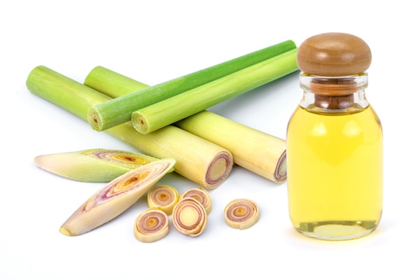 cách gội đầu với dầu oliu và sả cách gội đầu với dầu oliu và sả
