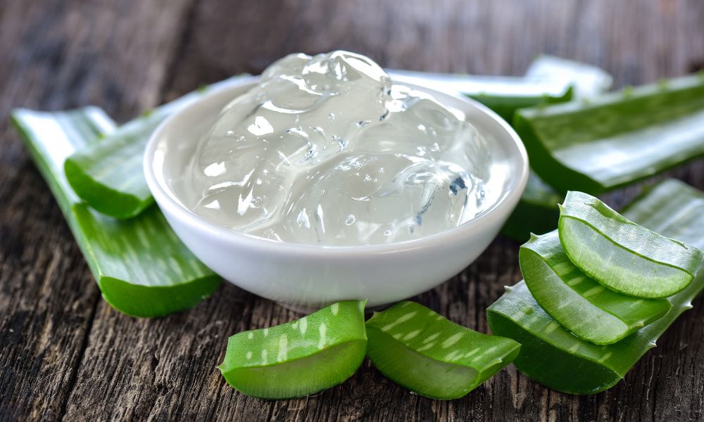 Nha đam chứa nhiều vitamin E,C và các chất chống oxi hóa có khả năng phục hồi tóc hư tổn hiệu quả Nha đam chứa nhiều vitamin E,C và các chất chống oxi hóa có khả năng phục hồi tóc hư tổn hiệu quả