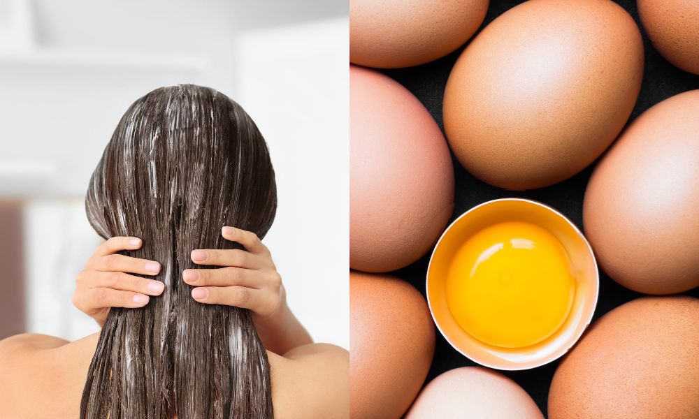 Mặt nạ ủ tóc bằng trứng gà giúp tóc chắc khỏe Mặt nạ ủ tóc bằng trứng gà giúp tóc chắc khỏe