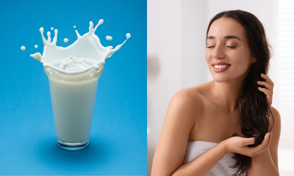 Mặt nạ ủ tóc bằng sữa tươi không đường giúp dưỡng ẩm cho mái tóc Mặt nạ ủ tóc bằng sữa tươi không đường giúp dưỡng ẩm cho mái tóc