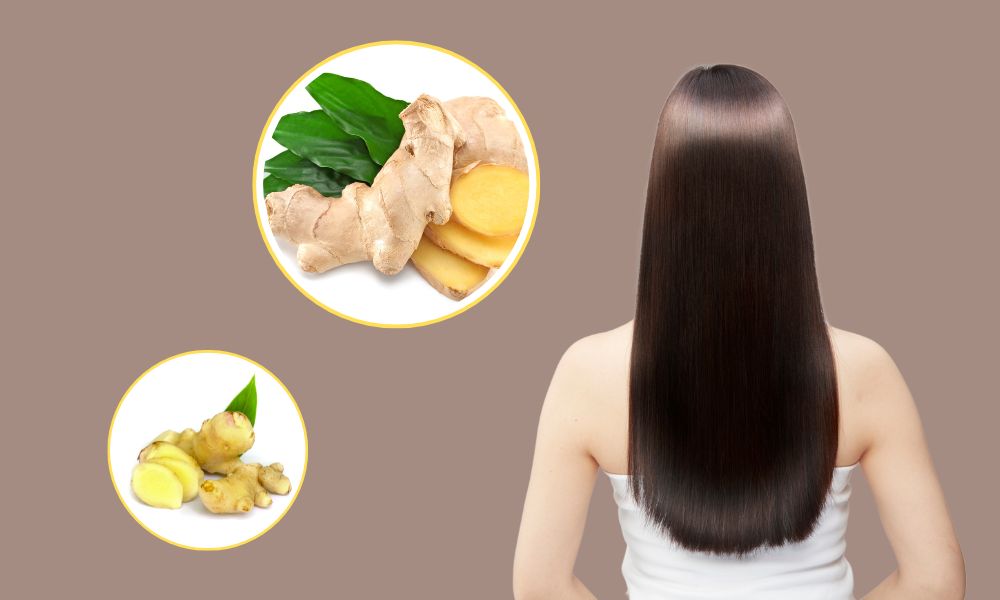 Ủ tóc bằng gừng là phương pháp giúp giảm tình trạng rụng tóc hiệu quả Ủ tóc bằng gừng là phương pháp giúp giảm tình trạng rụng tóc hiệu quả