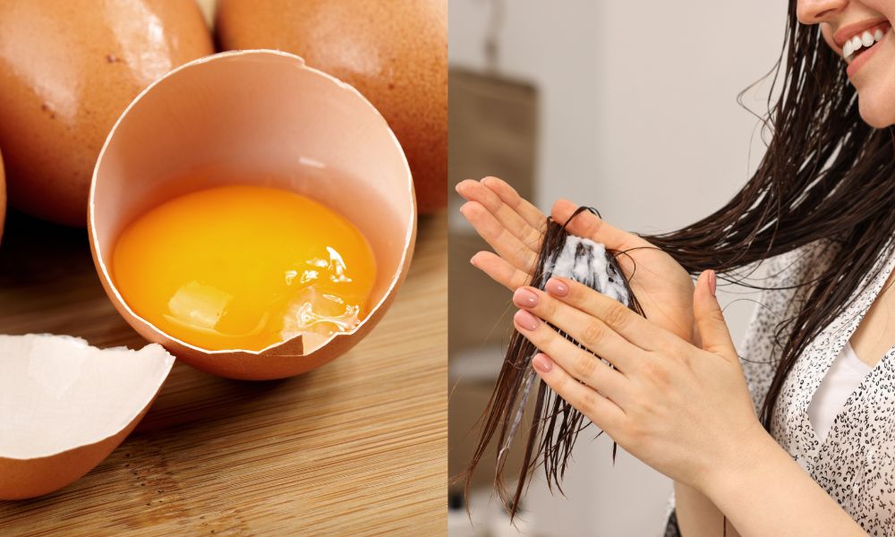 Ủ tóc tại nhà bằng trứng gà giúp tóc chắc khỏe Ủ tóc tại nhà bằng trứng gà giúp tóc chắc khỏe