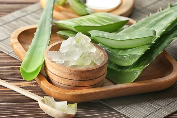 lưu ý khi gội đầu bằng nha đam lưu ý khi gội đầu bằng nha đam