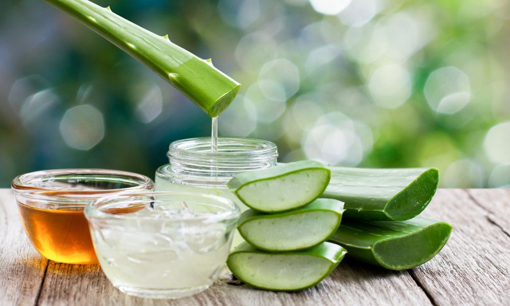 Dùng nguyên liệu thiên nhiên để hỗ trợ điều trị gàu Dùng nguyên liệu thiên nhiên để hỗ trợ điều trị gàu