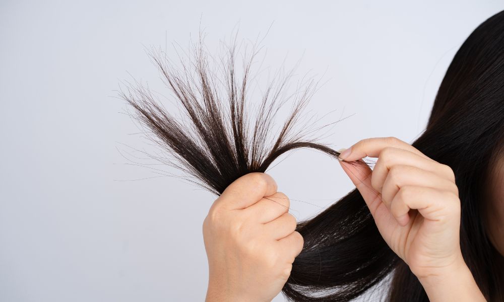 Tóc mất đi độ ẩm khiến các liên kết keratin dần suy yếu dẫn đến tình trạng tóc chẻ ngọn