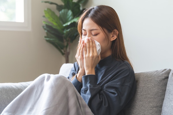 dầu tràm có tác dụng gì với sức khỏe dầu tràm có tác dụng gì với sức khỏe