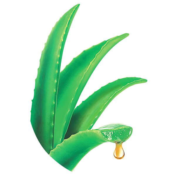 palmolive thiên nhiên nha đam palmolive thiên nhiên nha đam