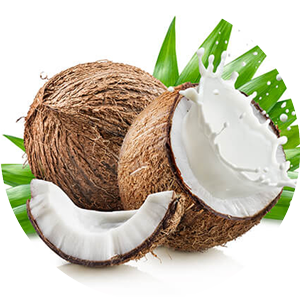 Cảm hứng palmolive dầu gội Cảm hứng palmolive dầu gội