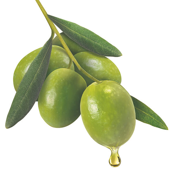 palmolive thiên nhiên olive