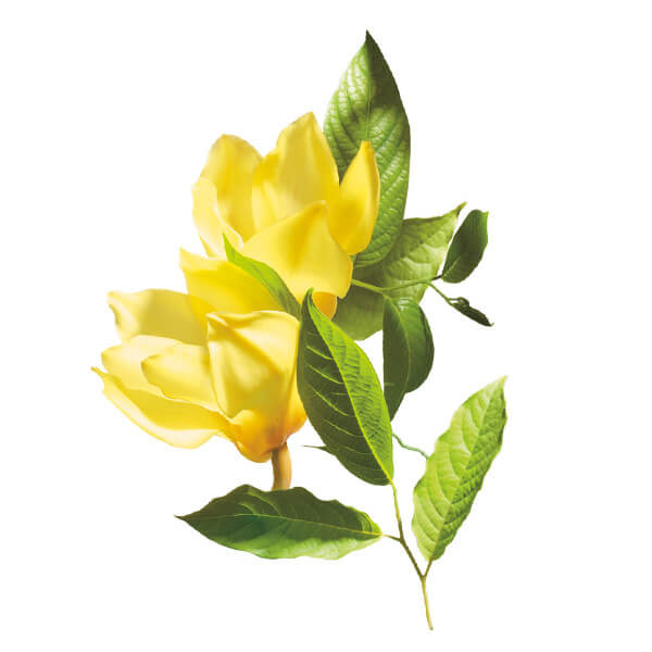 palmolive thiên nhiên ngọc lan tây palmolive thiên nhiên ngọc lan tây