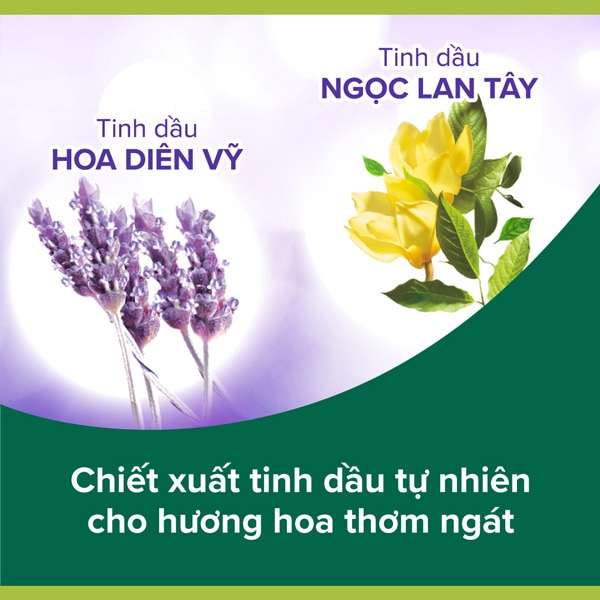 Chiết suất gel tắm Palmolive Aroma Sensations thư giãn toàn thân Chiết suất gel tắm Palmolive Aroma Sensations thư giãn toàn thân