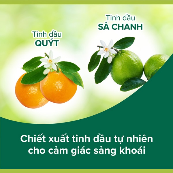 Gel tắm Palmolive Aroma Sensations chiết suất quýt sả