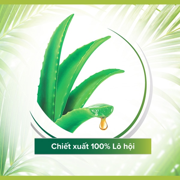 Dầu gội và xả Palmolive Thiên Nhiên Dưỡng Tóc Siêu Mượt chiết xuất nha đam Dầu gội và xả Palmolive Thiên Nhiên Dưỡng Tóc Siêu Mượt chiết xuất nha đam