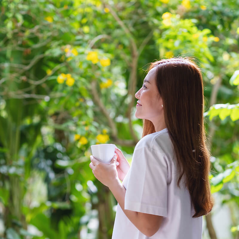 Palmolive dầu gội Palmolive dầu gội